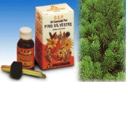 PINO SILVESTRE OLIO ESSENZIALE PURO 10 ML - Farmadillo