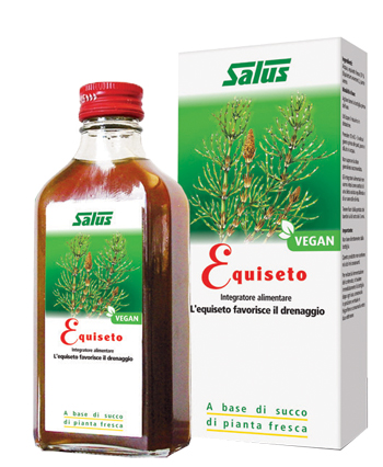 EQUISETO SUCCO 200 ML - Farmadillo