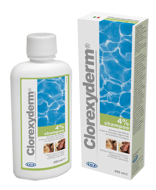 CLOREXYDERM SHAMPOO 4% 250 ML - Farmadillo