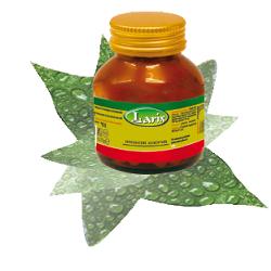 PAPAYA FERMENTATA 60 CAPSULE - Farmadillo