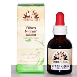 FITOBLASTO RIBES NIGRUM 50 ML - Farmadillo