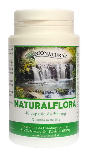 NATURALFLORA 40 CAPSULE - Farmadillo