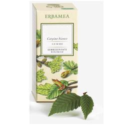 AESCULUS HIPPOCASTANUM GEMME GEMMODERIVATO 50 ML - Farmadillo