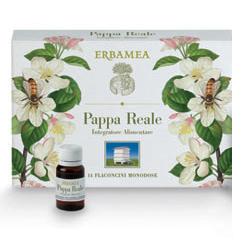 PAPPA REALE 14 FLACONCINI MONODOSE 10 ML - Farmadillo