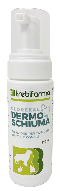 CLOREXAL DERMOSCHIUMA 150 ML - Farmadillo