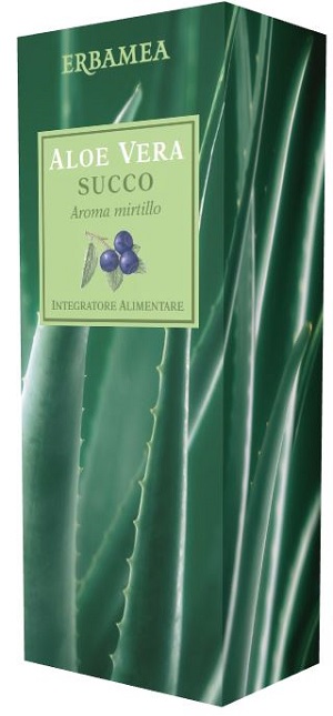 ALOE VERA SUCCO MIRTILLO 500 ML - Farmadillo