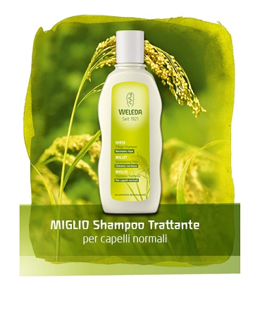 SHAMPOO MIGLIO 190 ML - Farmadillo