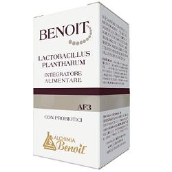 BENOIT LACTOBACILLUS PLANTHARUM 30 CAPSULE - Farmadillo