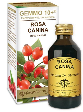 GEMMO 10+ ROSA CANINA LIQUIDO ANALCOLICO 100 ML - Farmadillo
