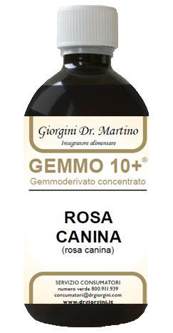 GEMMO 10+ ROSA CANINA LIQUIDO ANALCOLICO 500 ML - Farmadillo