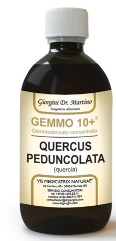 GEMMO 10+ QUERCIA 500 ML LIQUIDO ANALCOLICO - Farmadillo