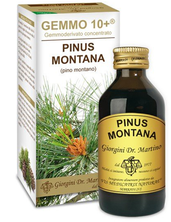 GEMMO 10+ PINO MONTANO 100 ML LIQUIDO ANALCOLICO - Farmadillo