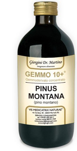 GEMMO 10+ GEMMODERIVATO CONCENTRATO LIQUIDO ANALCOLICO PINUS MONTANA PINO MONTANO 500 ML - Farmadillo