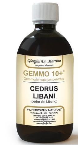 GEMMO 10+ CEDRO LIBANO 500 ML LIQUIDO ANALCOLICO - Farmadillo