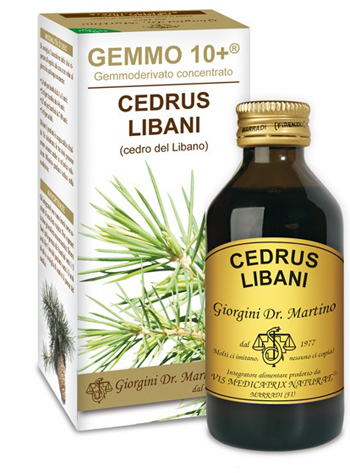 GEMMO 10+ CEDRO DEL LIBANO 100 ML LIQUIDO ANALCOLICO - Farmadillo