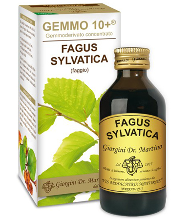 GEMMO 10+ FAGGIO 100 ML LIQUIDO ANALCOLICO - Farmadillo