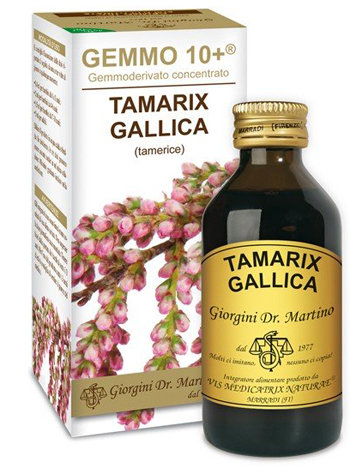 GEMMO 10+ TAMERICE 100 ML LIQUIDO ANALCOLICO - Farmadillo