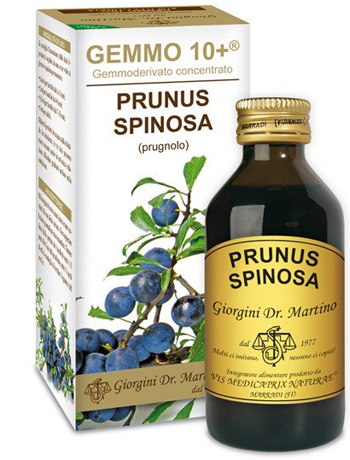 GEMMO 10+ PRUGNOLO 100 ML LIQUIDO ANALCOLICO - Farmadillo