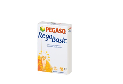 REGOBASIC 12 BUSTINE POLVERE - Farmadillo