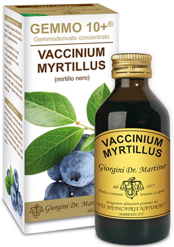 GEMMO 10+ GEMMODERIVATO CONCENTRATO VACCINIUM MYRTILLUS MIRTILLO NERO SENZA ALCOOL 100 ML - Farmadillo