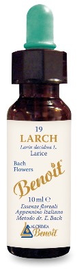FIORI DI BACH BENOIT LARCH 10 ML - Farmadillo