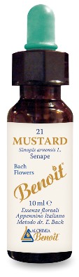 FIORI DI BACH BENOIT MUSTARD 10 ML - Farmadillo
