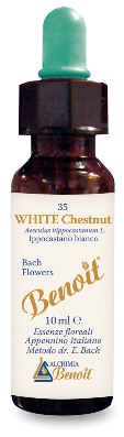 FIORI DI BACH BENOIT WHITE CHESTNUT 10 ML - Farmadillo