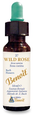 FIORI DI BACH BENOIT WILD ROSE 10 ML - Farmadillo