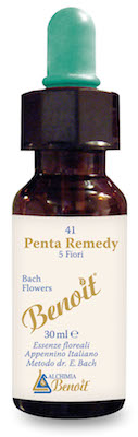 PENTA REMEDY BENOIT 30 ML - Farmadillo