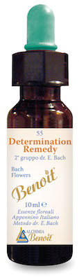DETERMINATION REMEDY 10 ML - Farmadillo