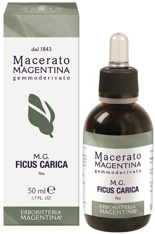 FICUS CARICA MACERATO MAGENTINA 50 ML - Farmadillo