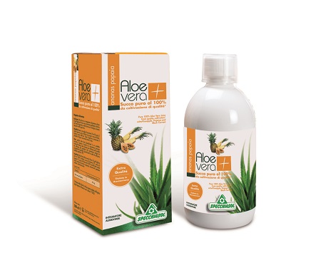 SUCCO ALOEVERA+ ANANAS/PAPAIA 1000 ML - Farmadillo