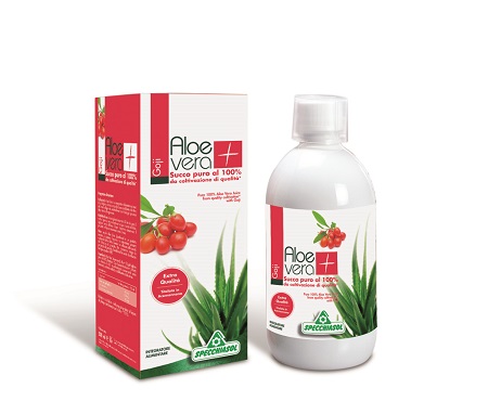SUCCO ALOEVERA+ GOJI 1000 ML - Farmadillo