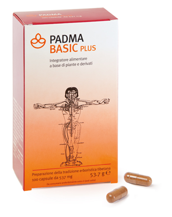 PADMA BASIC PLUS 100 CAPSULE - Farmadillo