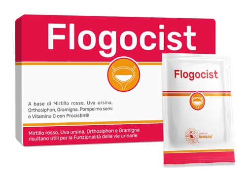 FLOGOCIST 10 BUSTINE - Farmadillo
