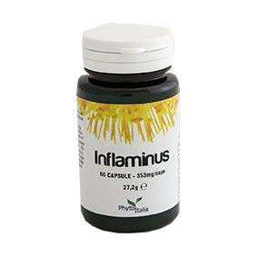 INFLAMINUS 60 CAPSULE - Farmadillo