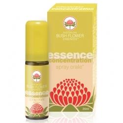 CONCENTRATION SPRAY ORALE 20 ML - Farmadillo
