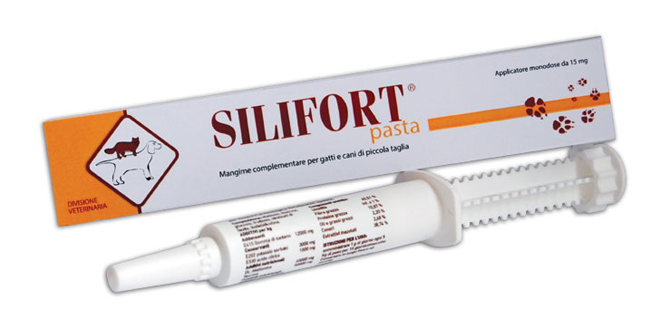 SILIFORT PASTA OS SIRINGA 30 G - Farmadillo