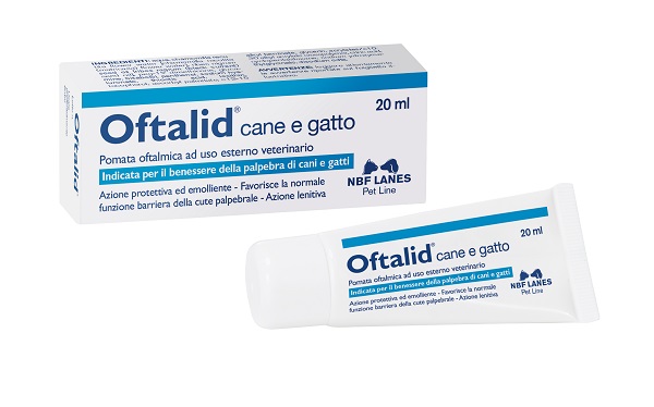 OFTALID POMATA OFTALMICA 20 ML - Farmadillo
