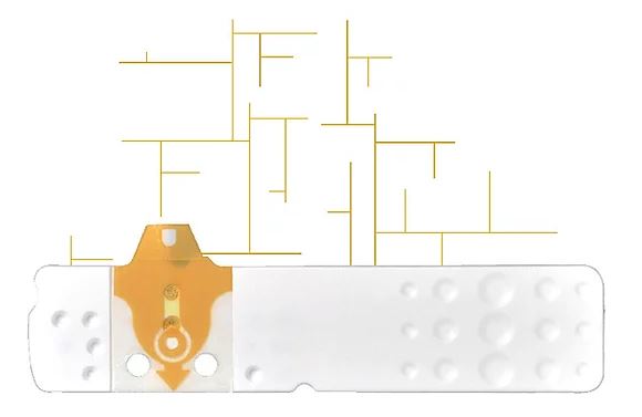 STRISCE MISURAZIONE GLICEMIA LINEA D ORO 50 PEZZI - Farmadillo