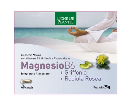 MAGNESIO B6 + GRIFFONIA + RODIOLA 60 CAPSULE - Farmadillo