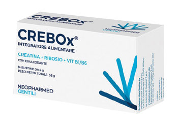 CREBOX 14 BUSTINE - Farmadillo