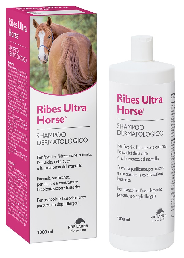 RIBES HORSE ULTRA SHAMPOO DERMATOLOGICO 1 LITRO - Farmadillo