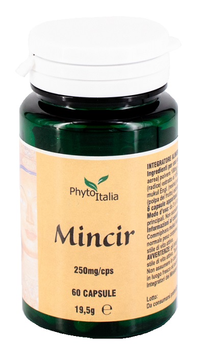 MINCEUR AYURVED 60 CAPSULE - Farmadillo