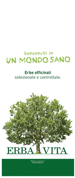 LICOPODIO TAGLIO TISANA PIANTA 100 G - Farmadillo