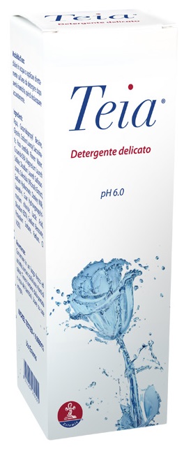 TEIA DETERGENTE CORPO 250 ML - Farmadillo