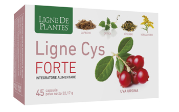 LIGNE CYS FORTE 45 CAPSULE - Farmadillo