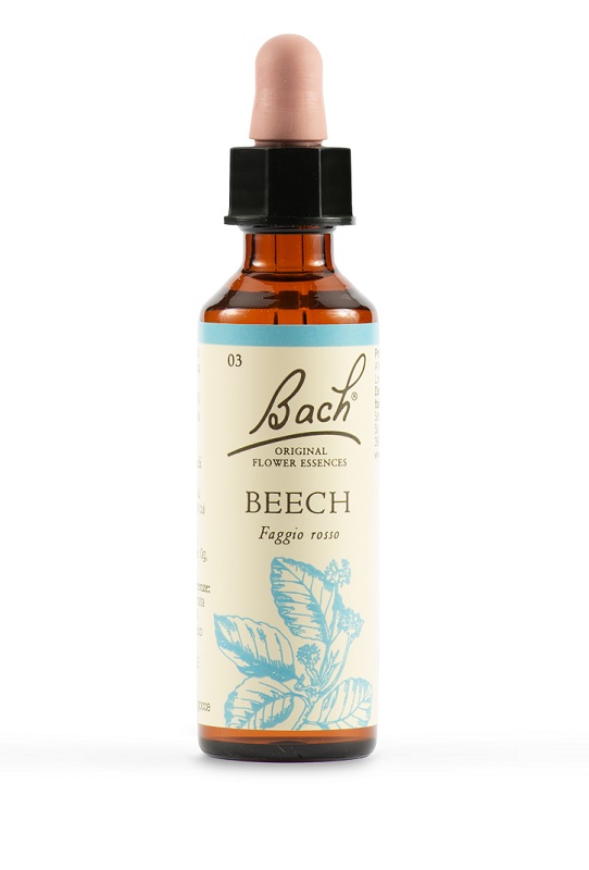 BEECH BACH ORIG 20 ML - Farmadillo