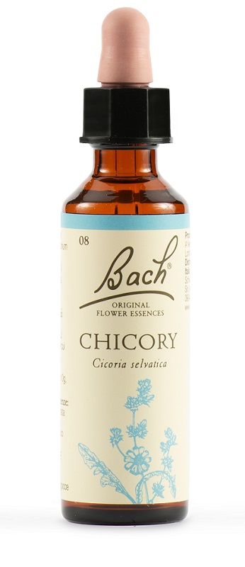 CHICORY BACH ORIG 20 ML - Farmadillo