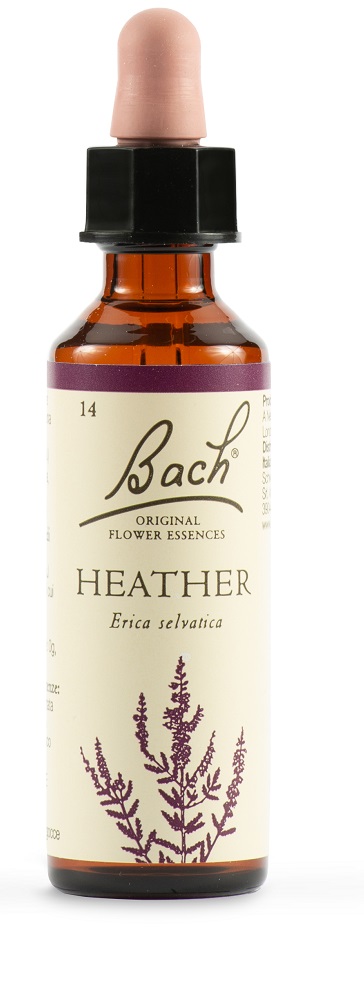 HEATHER BACH ORIG 20 ML - Farmadillo